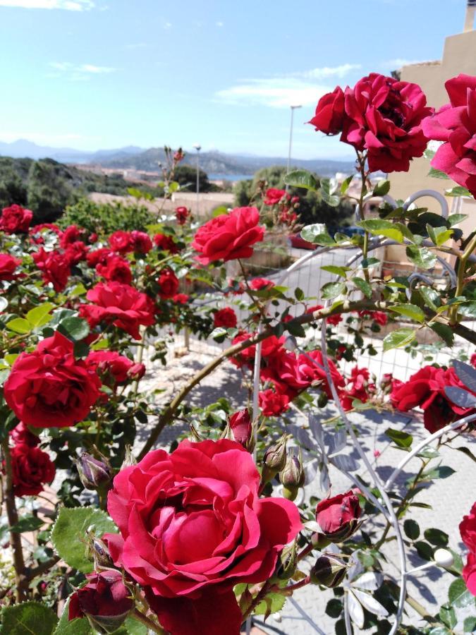 The Roses Garden Bed and Breakfast La Maddalena  Exteriör bild