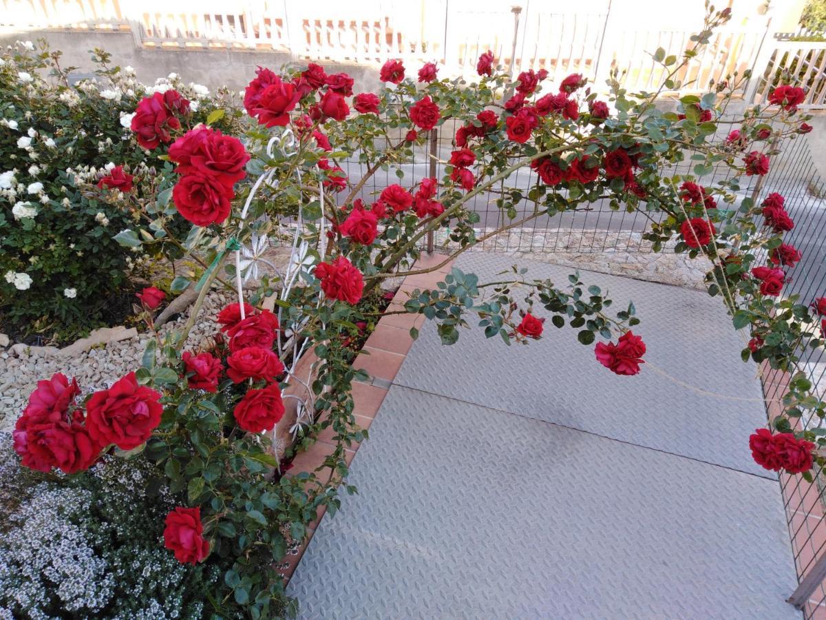 The Roses Garden Bed and Breakfast La Maddalena  Exteriör bild