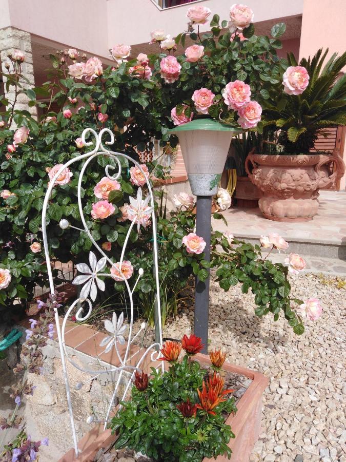 The Roses Garden Bed and Breakfast La Maddalena  Exteriör bild